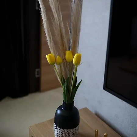 Woodside Tea Residences&spa Lejlighed Kopaonik