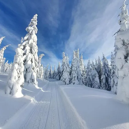 Woodside Tea Residences&spa Lejlighed Kopaonik