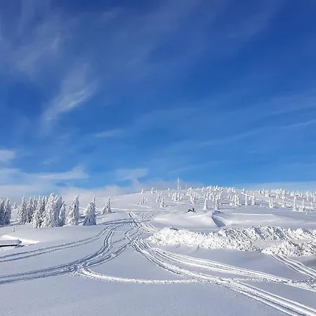 Woodside Tea Residences&spa